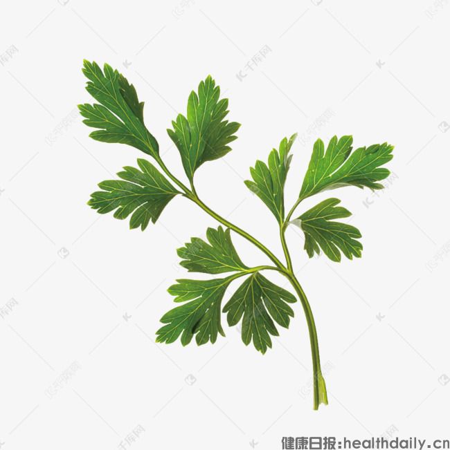 中医教你艾叶灰的五大妙用 (图1) 中医教你艾叶灰的五大妙用 (图1)