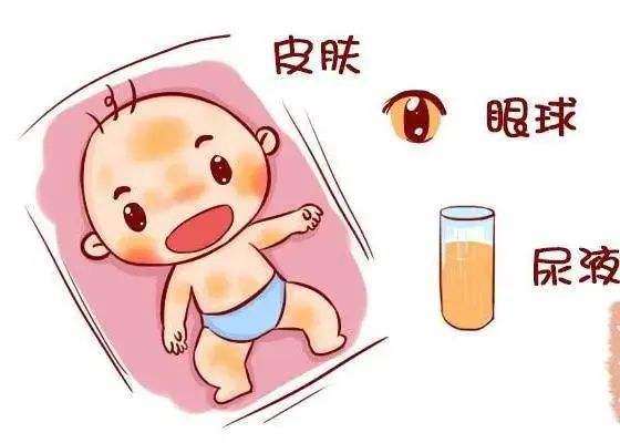 90%的准妈妈 备孕时忽略了这件事 孕后追悔莫及！(图1)
