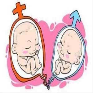 孕妇必备常识 孕妇保鲜知识知多少