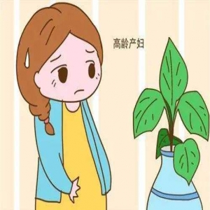 想要孩子生出来更加聪明 最佳生育年龄值得关注